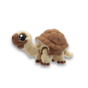 Tortoise