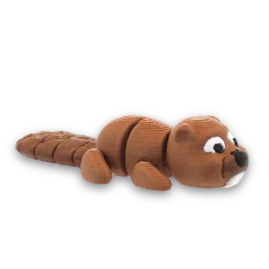 Beaver 1