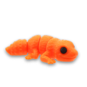 Gecko 1