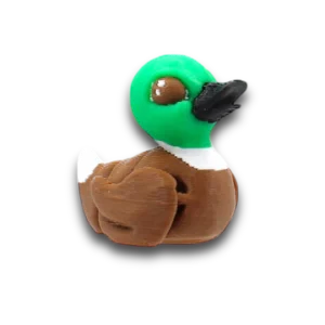 Mallard Duck