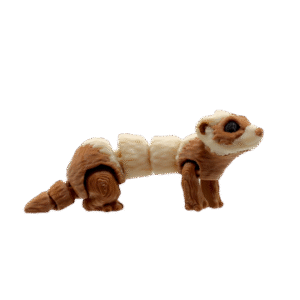 Ferret