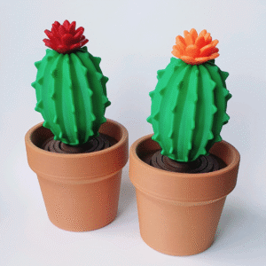 Cactus Fidget 3D Printed Fidget Toy Stress Relief Desk Sensory