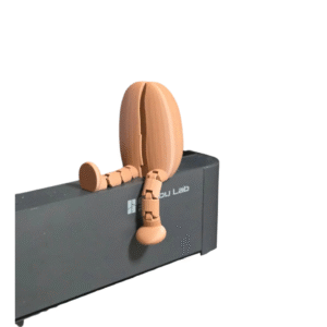 Coffee Bean with Legs 3D Printed Cute Kawaii Desk Toy Decor Gift Collectible